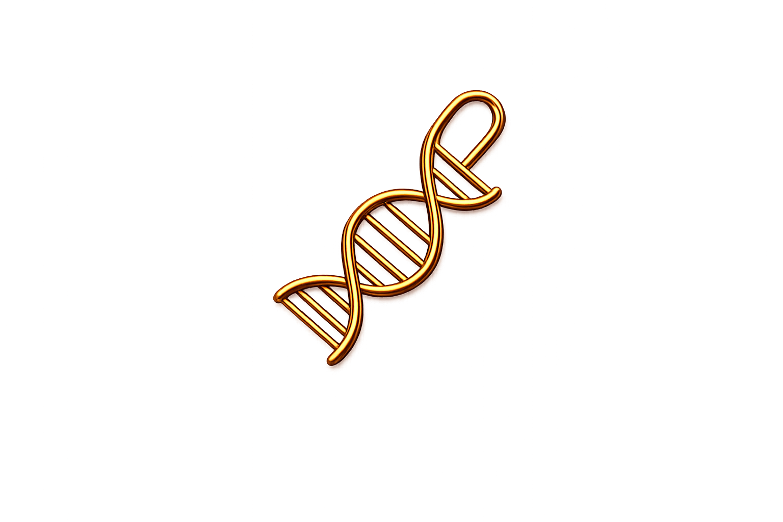 dna_helisa